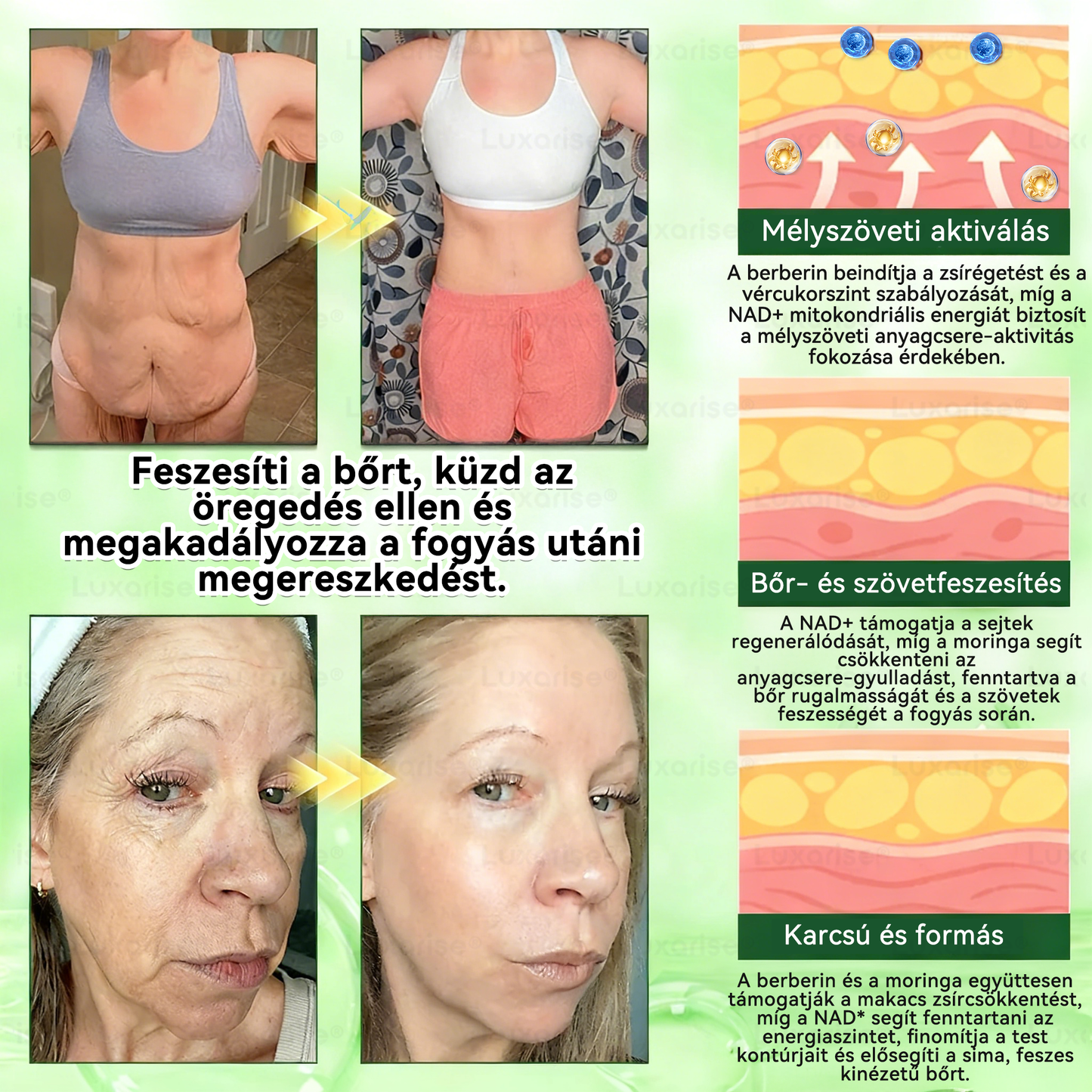 𝑯𝒊𝒗𝒂𝒕𝒂𝒍𝒐𝒔 𝒃𝒐𝒍𝒕 | 𝑳𝒖𝒙𝒂𝒓𝒊𝒔𝒆® 𝑴𝑶𝑹𝑰𝑵𝑮𝑨 × 𝑩𝑬𝑹𝑩𝑬𝑹𝑰𝑵 10-𝑰𝑵-1 𝑯𝒂𝒍𝒂𝒅ó 𝑵𝒂𝒏𝒐 𝑴𝒊𝒌𝒓𝒐𝒕ű 𝑻𝒂𝒑𝒂𝒔𝒛🌿 (𝑵𝒂𝒑𝒊 𝒆𝒈𝒚𝒔𝒛𝒆𝒓, 7 𝒏𝒂𝒑𝒐𝒏 𝒃𝒆𝒍ü𝒍 𝒍á𝒕𝒉𝒂𝒕ó 𝒋𝒆𝒍𝒆𝒏𝒕ő𝒔 𝒗á𝒍𝒕𝒐𝒛á𝒔𝒐𝒌)👍